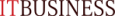IT Business
